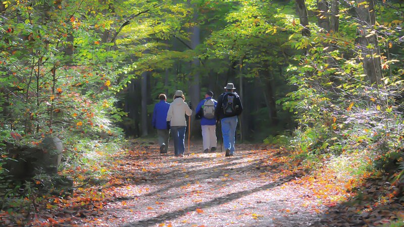 Gemeinschaft und Natur