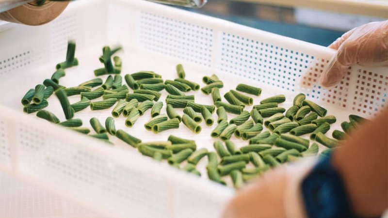 Pasta sociali sind in verschiedenen Geschmacksrichtungen erhältlich: hier mit Spinat